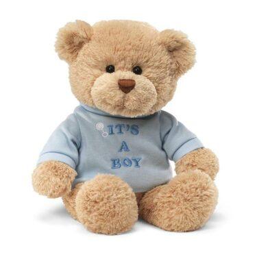 It's a Boy Bear in a Shirt